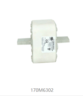 170M6302