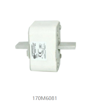 170M6081