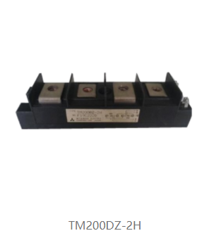 TM200DZ-2H