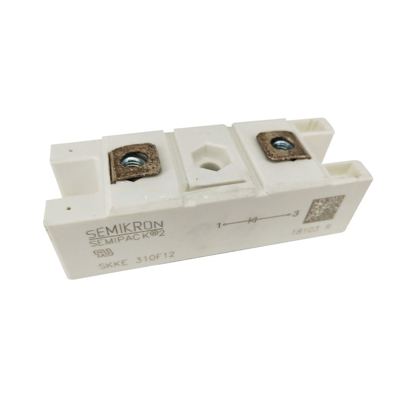 SKKE310F12